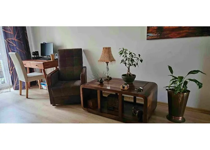 公寓 Mieszkanie Wakacyjne Nad Jeziorakiem *